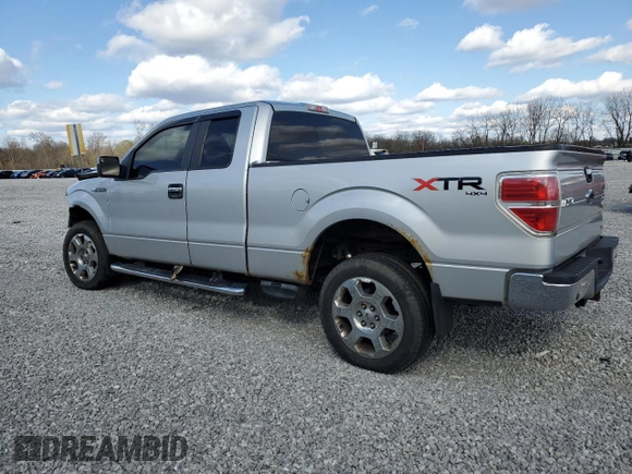 2010 Ford F-150 XL with VIN 1FTFX1EV6AFC58473, listed as a Copart auction lot 52357365 with 122,755 mi miles and Salvage title. Bid and sale history available at DreamBid. Image 2.