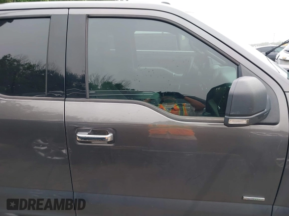 2015 Ford F-150 XL with VIN 1FTEX1CP7FKE19945, listed as a IAAI auction lot 42165359 with 206,874 mi miles and . Bid and sale history available at DreamBid. Image 13.