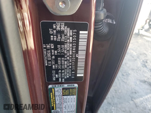 2022 Kia Telluride EX with VIN 5XYP3DHC8NG315075, listed as a Copart auction lot 46737675 with 34,048 mi miles and Salvage Title. Bid and sale history available at carsss.com. Image 13.