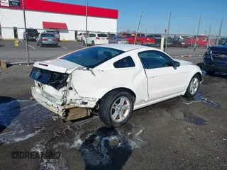 2013 Ford Mustang V6 with VIN 1ZVBP8AM6D5275902, listed as a IAAI auction lot 41750633 with 246,762 mi miles and . Bid and sale history available at DreamBid. Image 4.