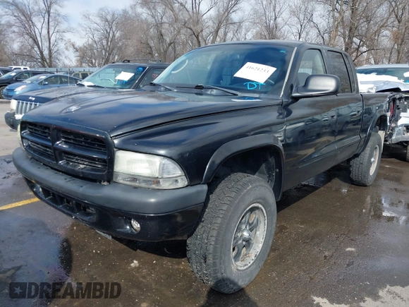 2002 Dodge Dakota Sport with VIN 1B7HG38N32S641652, listed as a IAAI auction lot 41621233 with 250,148 mi miles. Bid and sale history available at carsss.com. Image 17.