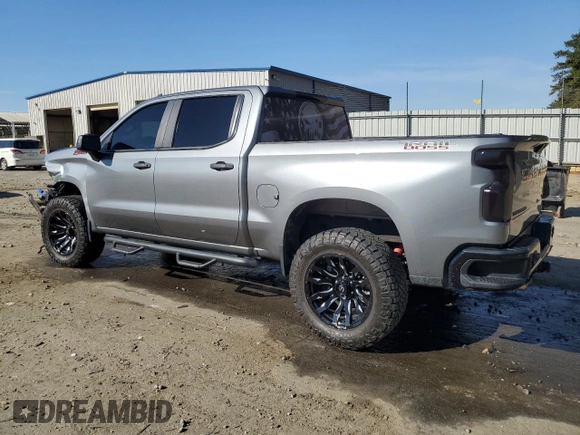 2020 Chevrolet Silverado 1500 Custom Trail Boss with VIN 3GCPYCEF5LG282805, listed as a Copart auction lot 50060805 with 119,379 mi miles and Salvage Title. Bid and sale history available at DreamBid. Image 2.