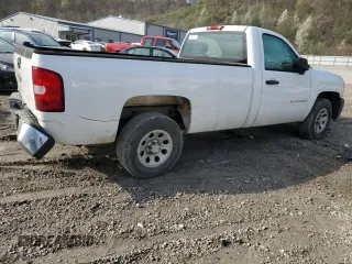 2009 Chevrolet Silverado 1500 Work Truck with VIN 1GCEC14X19Z225725, listed as a Copart auction lot 51499965 with Not Provided miles and Salvage Title. Bid and sale history available at DreamBid. Image 3.