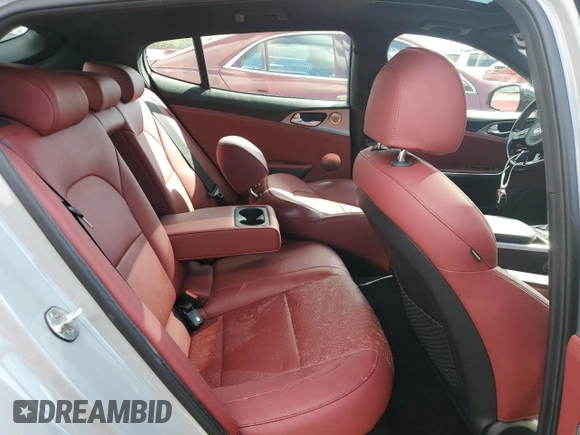 2020 Kia Stinger GT1 with VIN KNAE45LC2L6073852, listed as a Copart auction lot 73830204 with Not Provided miles and Salvage Title. Bid and sale history available at DreamBid. Image 10.