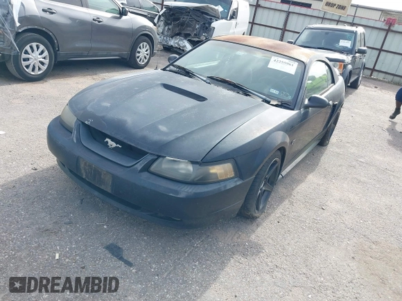 2000 Ford Mustang GT with VIN 1FAFP42X1YF196276, listed as a IAAI auction lot 42255961 with Not Provided miles and . Bid and sale history available at DreamBid. Image 2.