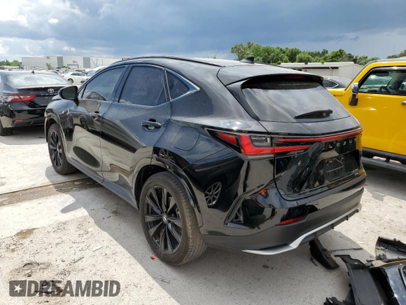 2022 Lexus NX with VIN JTJKGCEZXN5002648, listed as a Copart auction lot 48723823 with 18,647 mi miles. Bid and sale history available at carsss.com. Image 2.