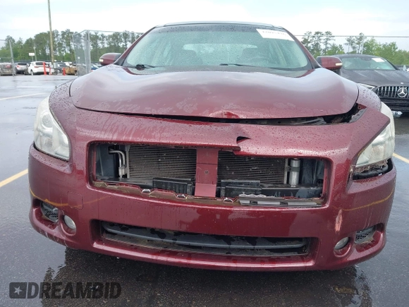 2010 Nissan Maxima 3.5 SV with VIN 1N4AA5AP7AC809317, listed as a IAAI auction lot 42095436 with 144,556 mi miles. Bid and sale history available at carsss.com. Image 6.