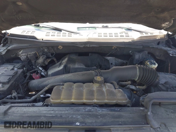2019 Ford F-150 XL with VIN 1FTEW1E4XKKF30179, listed as a IAAI auction lot 42171587 with Not provided miles and . Bid and sale history available at DreamBid. Image 10.