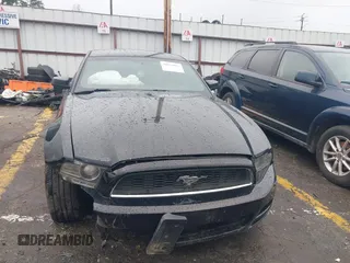 2013 Ford Mustang V6 with VIN 1ZVBP8AM9D5253490, listed as a IAAI auction lot 41856886 with 236,348 mi miles and . Bid and sale history available at DreamBid. Image 12.
