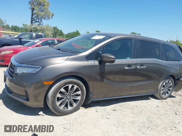 2022 Honda Odyssey EX-L with VIN 5FNRL6H76NB052194, listed as a IAAI auction lot 41889058 with 49,731 mi miles and . Bid and sale history available at DreamBid. Image 14.
