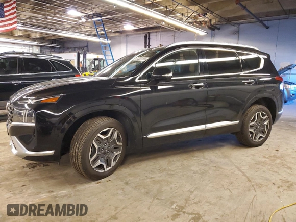2021 Hyundai Santa Fe Calligraphy with VIN 5NMS5DAL5MH323833, listed as a Copart auction lot 41337795 with 54,484 mi miles and Salvage title. Bid and sale history available at DreamBid. Image 1.