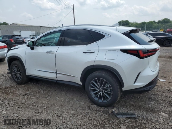 2025 Lexus NX 350 Premium with VIN 2T2GGCEZ4SC078868, listed as a Copart auction lot 59723595 with 1,311 mi miles and Salvage title. Bid and sale history available at DreamBid. Image 2.