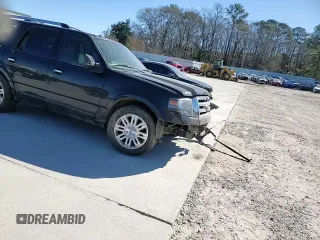 2014 Ford Expedition Limited with VIN 1FMJU1K5XEEF03032, listed as a Copart auction lot 47175165 with 154,575 mi miles and Salvage title. Bid and sale history available at DreamBid. Image 10.