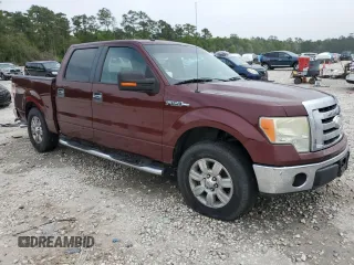 2009 Ford F-150 XL with VIN 1FTRW12849FA64308, listed as a Copart auction lot 50622195 with 177,088 mi miles and Non Repairable. Bid and sale history available at carsss.com. Image 4.