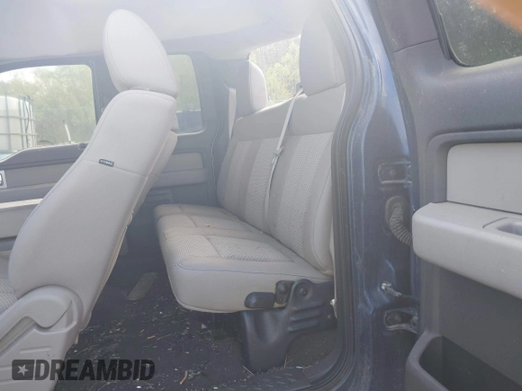 2010 Ford F-150 XL with VIN 1FTEX1E87AFB39157, listed as a IAAI auction lot 41820972 with 152,354 mi miles and . Bid and sale history available at DreamBid. Image 8.