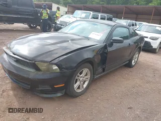 2012 Ford Mustang Premium with VIN 1ZVBP8AM6C5233888, listed as a IAAI auction lot 42714667 with 153,219 mi miles and . Bid and sale history available at DreamBid. Image 2.