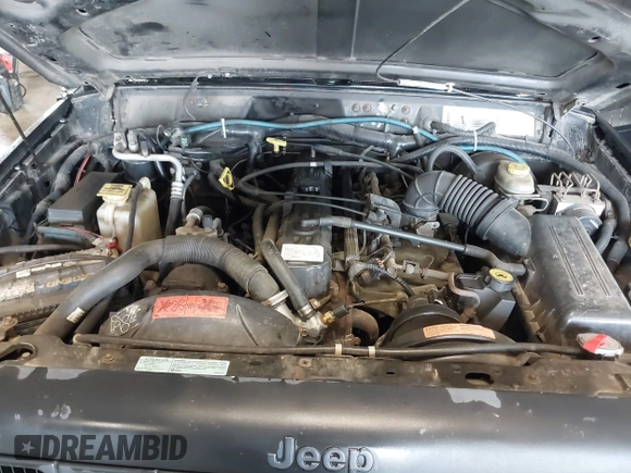 1998 Jeep Cherokee Sport with VIN 1J4FJ68SXWL281659, listed as a IAAI auction lot 42208563 with 203,992 mi miles and . Bid and sale history available at DreamBid. Image 10.