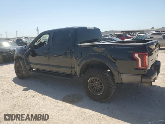 2019 Ford F-150 Raptor with VIN 1FTFW1RG0KFB43691, listed as a Copart auction lot 51160605 with 174,785 mi miles and Salvage Title. Bid and sale history available at carsss.com. Image 2.