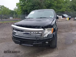 2009 Ford F-150 XL z VIN 1FTPW14V39FA99058, wystawiony jako IAAI lot #42300326 z przebiegiem 198 000 mil mil oraz . Historia ofert i sprzedaży dostępna na DreamBid. Obrazek 6.