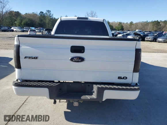 2013 Ford F-150 XL with VIN 1FTMF1CF2DFC41969, listed as a Copart auction lot 49729085 with 195,243 mi miles and Salvage title. Bid and sale history available at DreamBid. Image 6.