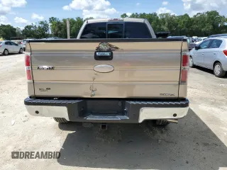 2011 Ford F-150 XL with VIN 1FTEX1EM8BFD20153, listed as a Copart auction lot 60405365 with 239,383 mi miles and Salvage title. Bid and sale history available at DreamBid. Image 6.