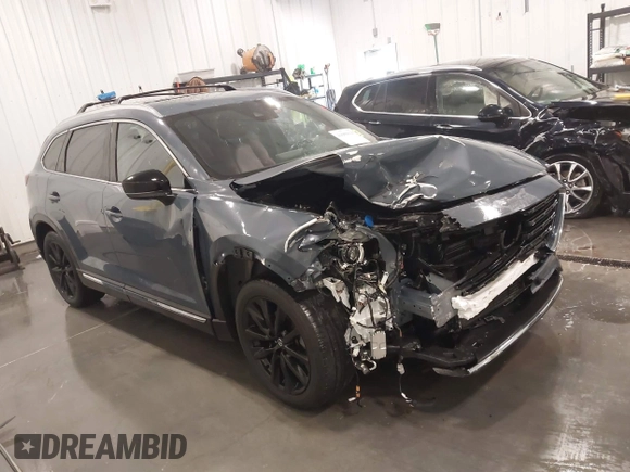 2022 Mazda CX-9 Grand Touring with VIN JM3TCBDY3N0619674, listed as a IAAI auction lot 41609191 with 32,722 mi miles and . Bid and sale history available at carsss.com. Image 1.
