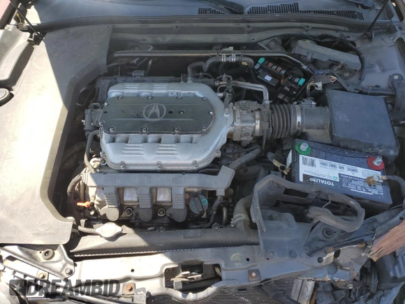 2009 Acura TL Tech with VIN 19UUA86519A003840, listed as a Copart auction lot 52365865 with 256,973 mi miles and Clean Title. Bid and sale history available at carsss.com. Image 11.