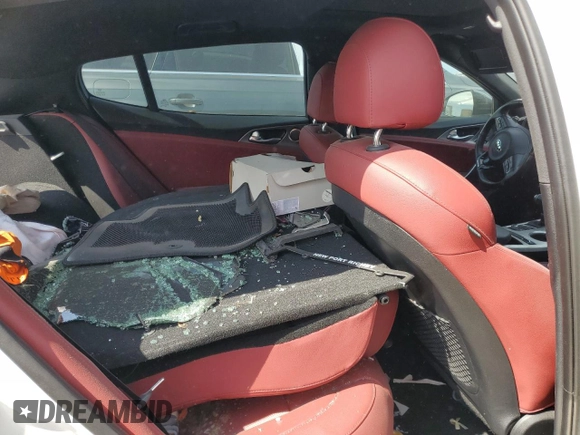 2019 Kia Stinger GT1 with VIN KNAE45LC2K6062123, listed as a Copart auction lot 76540484 with Not Provided miles and Non Repairable. Bid and sale history available at DreamBid. Image 10.