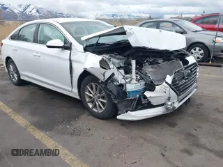2018 Hyundai Sonata SE z VIN 5NPE24AFXJH698843, wystawiony jako IAAI lot #41851524 z przebiegiem 100 811 mil mil oraz . Historia ofert i sprzedaży dostępna na DreamBid. Obrazek 1.