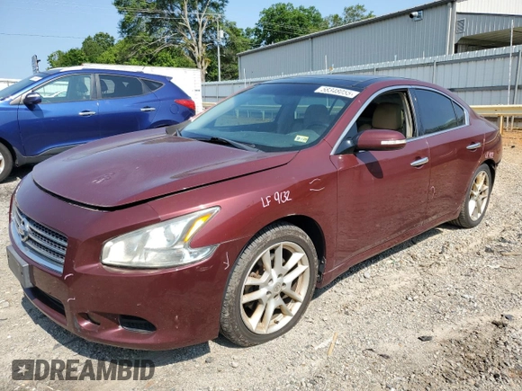 2010 Nissan Maxima SV with VIN 1N4AA5AP8AC837983, listed as a Copart auction lot 58348055 with 217,023 mi miles and Salvage title. Bid and sale history available at DreamBid. Image 1.