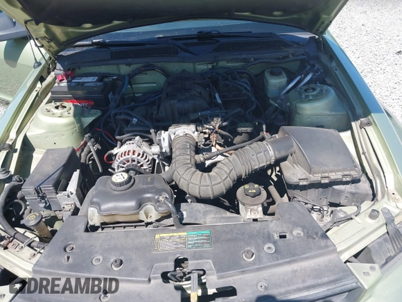 2005 Ford Mustang Deluxe with VIN 1ZVFT84N755254849, listed as a IAAI auction lot 42544077 with 276,391 mi miles and . Bid and sale history available at DreamBid. Image 10.
