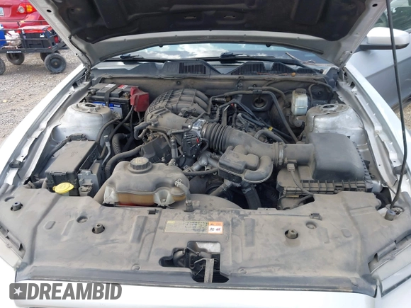 2013 Ford Mustang V6 with VIN 1ZVBP8AM7D5242049, listed as a IAAI auction lot 42629636 with 128,992 mi miles and . Bid and sale history available at DreamBid. Image 10.