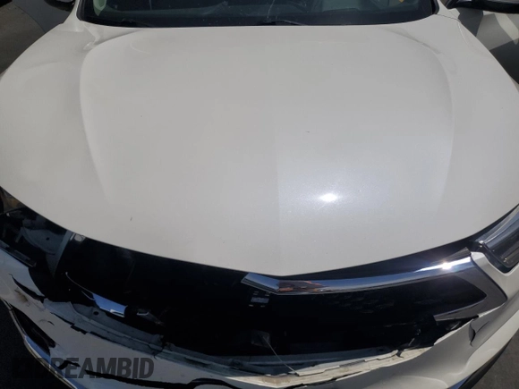 2019 Acura RDX Advance with VIN 5J8TC2H72KL015037, listed as a Copart auction lot 62401115 with Not provided miles and Salvage title. Bid and sale history available at DreamBid. Image 12.