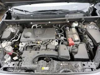 2023 Toyota RAV4 XLE Premium with VIN 2T3A1RFV7PC350144, listed as a Copart auction lot 50317175 with 46,130 mi miles and Salvage Title. Bid and sale history available at carsss.com. Image 14.