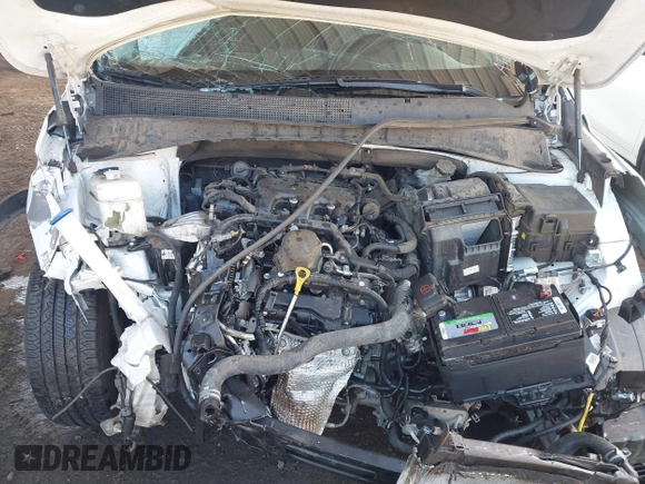 2019 Kia Sorento S with VIN 5XYPG4A55KG558127, listed as a IAAI auction lot 41906728 with 67,248 mi miles and . Bid and sale history available at carsss.com. Image 10.