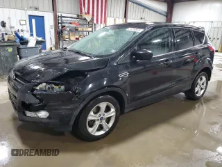 2013 Ford Escape SE with VIN 1FMCU9GX2DUD50622, listed as a Copart auction lot 51250945 with 120,378 mi miles and Salvage Title. Bid and sale history available at DreamBid. Image 1.