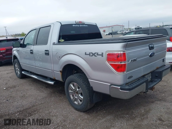 2013 Ford F-150 XL with VIN 1FTFW1EF7DKE70628, listed as a IAAI auction lot 42115322 with 246,593 mi miles and . Bid and sale history available at DreamBid. Image 3.