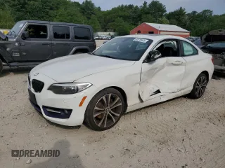 2016 BMW 2 Series 228i xDrive with VIN WBA1G9C57GV599002, listed as a Copart auction lot 60518685 with 64,205 mi miles and Salvage title. Bid and sale history available at DreamBid. Image 1.