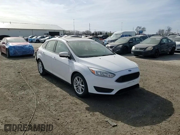 2015 Ford Focus SE with VIN 1FADP3F23FL262910, listed as a Copart auction lot 49484165 with 172,327 mi miles and Salvage Title. Bid and sale history available at carsss.com. Image 11.