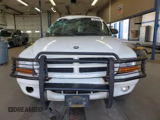 1999 Dodge Durango z VIN 1B4HS28Z2XF709089, wystawiony jako Copart lot #58241055 z przebiegiem 112 347 mil mil oraz Szkoda całkowita • Salvage title. Historia ofert i sprzedaży dostępna na DreamBid. Obrazek 5.