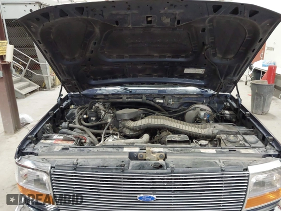 1995 Ford F-150 with VIN 1FTEF14HXSNA75501, listed as a IAAI auction lot 42120750 with 250,536 mi miles and . Bid and sale history available at DreamBid. Image 10.