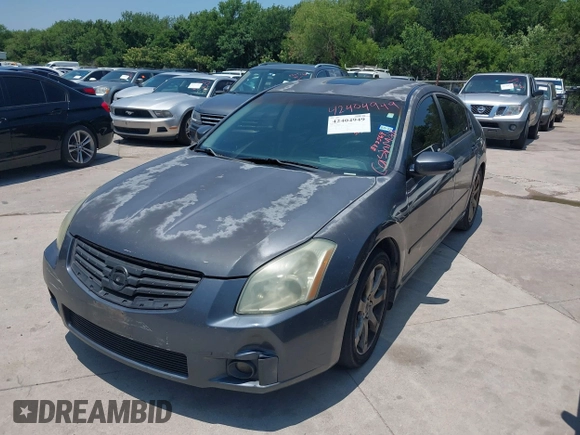 2008 Nissan Maxima SE with VIN 1N4BA41E28C833564, listed as a IAAI auction lot 42404949 with Not provided miles and . Bid and sale history available at DreamBid. Image 2.