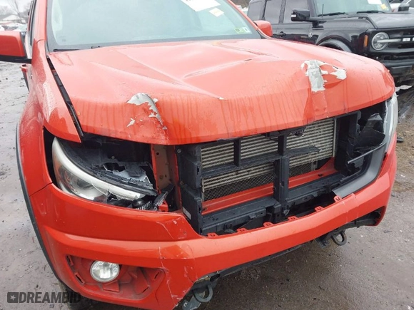 2016 Chevrolet Colorado 4WD Z71 with VIN 1GCPTDE15G1268559, listed as a IAAI auction lot 41560339 with 123,164 mi miles. Bid and sale history available at carsss.com. Image 17.