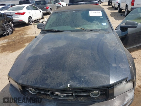2008 Ford Mustang Deluxe with VIN 1ZVHT84N885103483, listed as a IAAI auction lot 38313447 with Not Provided miles and . Bid and sale history available at carsss.com. Image 10.