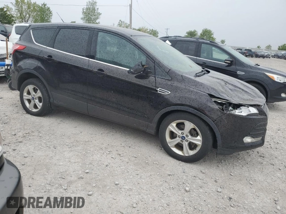 2013 Ford Escape SE with VIN 1FMCU0GX3DUB62509, listed as a Copart auction lot 57595155 with 134,253 mi miles and Clean title. Bid and sale history available at DreamBid. Image 4.