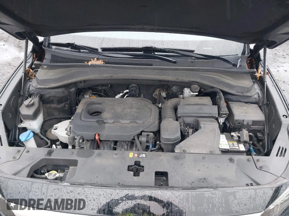 2019 Hyundai Santa Fe SE with VIN 5NMS23AD8KH008680, listed as a IAAI auction lot 42023218 with 67,745 mi miles and . Bid and sale history available at DreamBid. Image 10.