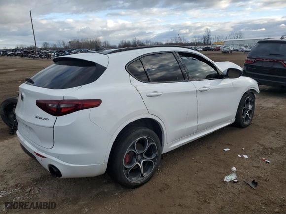 2021 Alfa Romeo Stelvio Ti with VIN ZASPAKBN6M7D01053, listed as a Copart auction lot 81766904 with 0 mi miles and Non Repairable. Bid and sale history available at carsss.com. Image 3.