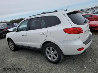 2009 Hyundai Santa Fe SE with VIN 5NMSH13EX9H252785, listed as a Copart auction lot 44768815 with 128,221 mi miles and Salvage Title. Bid and sale history available at carsss.com. Image 2.