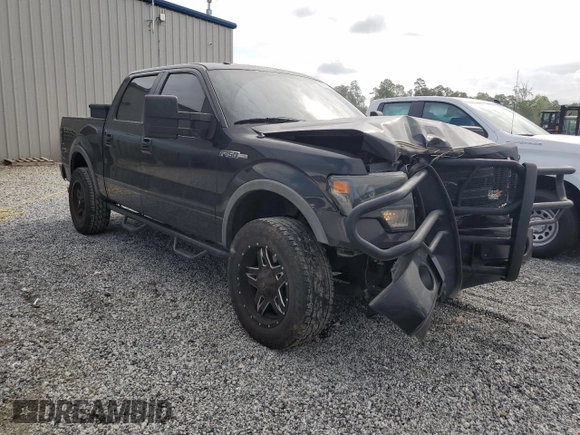 2013 Ford F-150 XL with VIN 1FTFW1EF8DFA98497, listed as a Copart auction lot 55030295 with 231,057 mi miles and Salvage title. Bid and sale history available at DreamBid. Image 4.