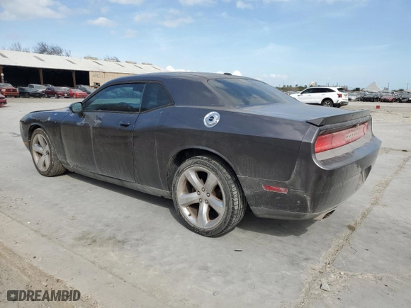 2013 Dodge Challenger R/T with VIN 2C3CDYBT2DH652132, listed as a Copart auction lot 45764365 with 121,390 mi miles and Clean Title. Bid and sale history available at carsss.com. Image 2.